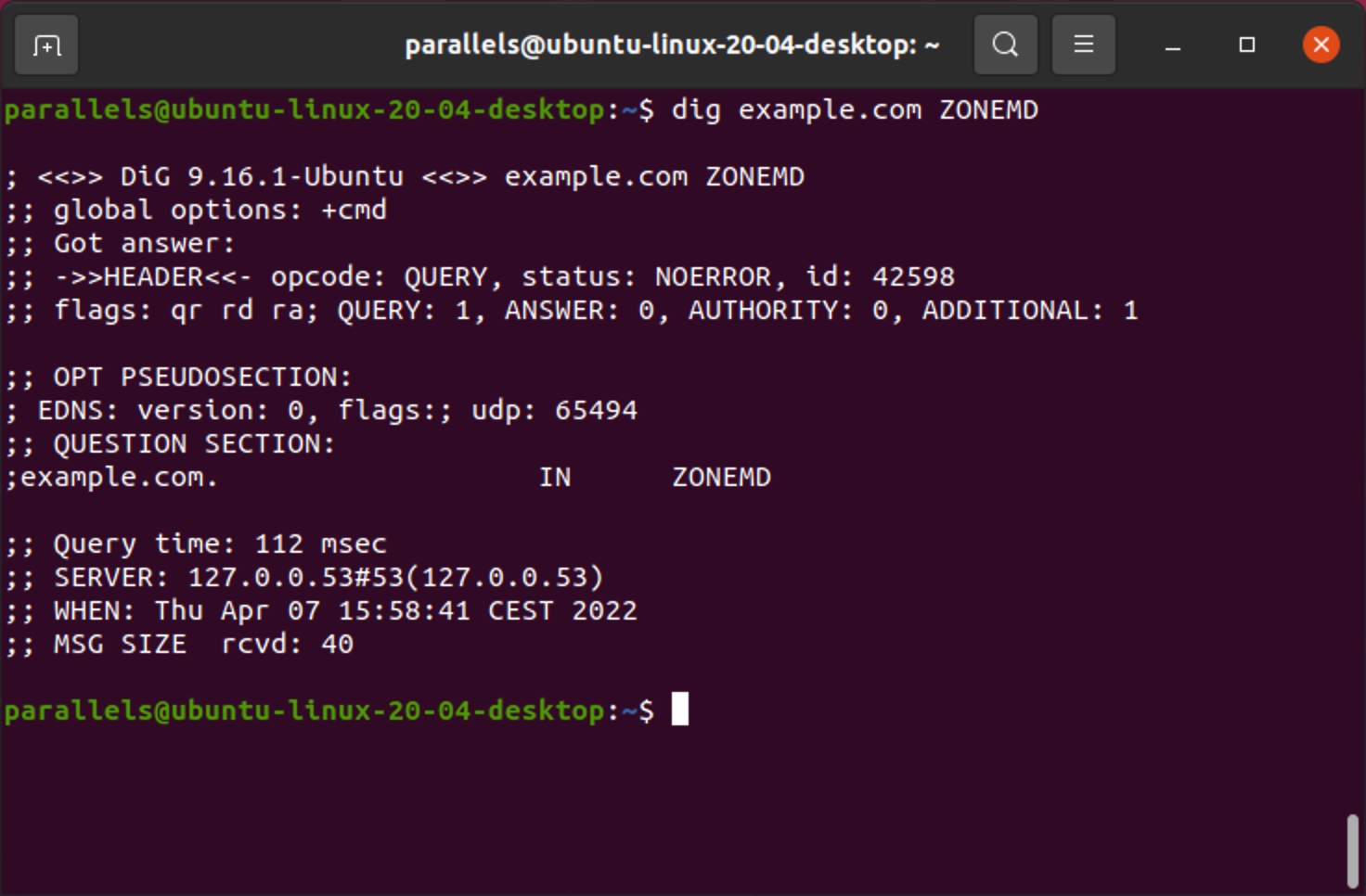 ZONEMD lookup in Linux